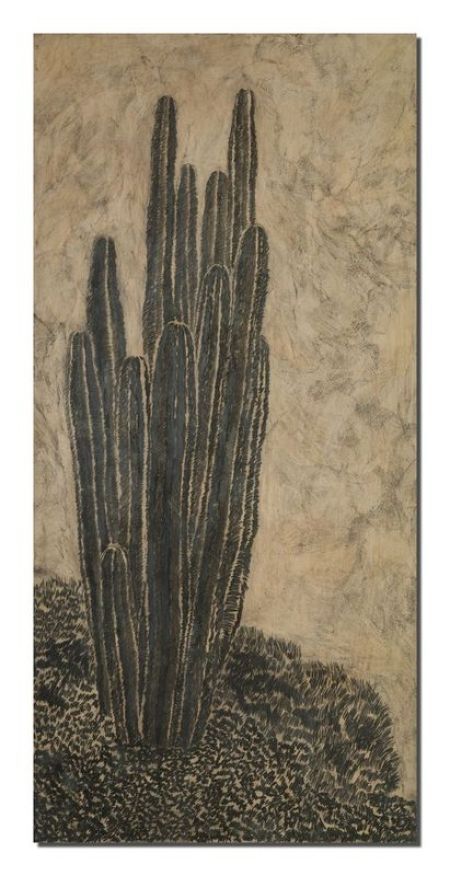 Stovepipe Cactus